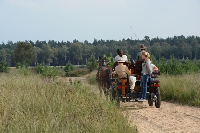 Afbeelding invoegen